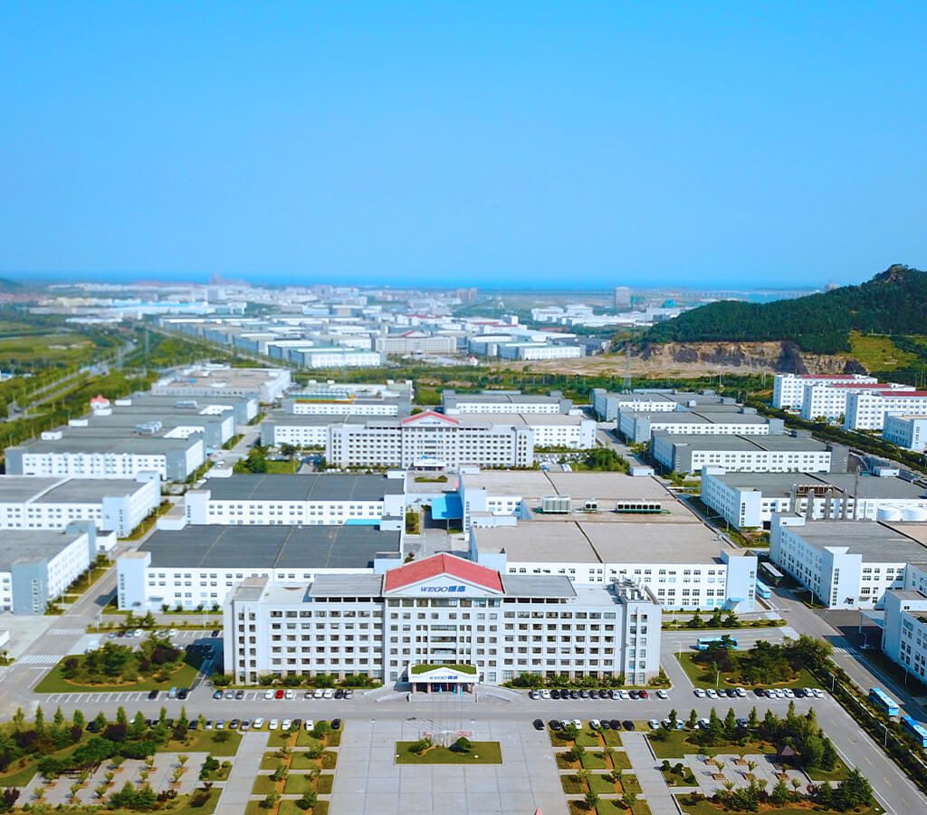 Panorama of WEGO Medical